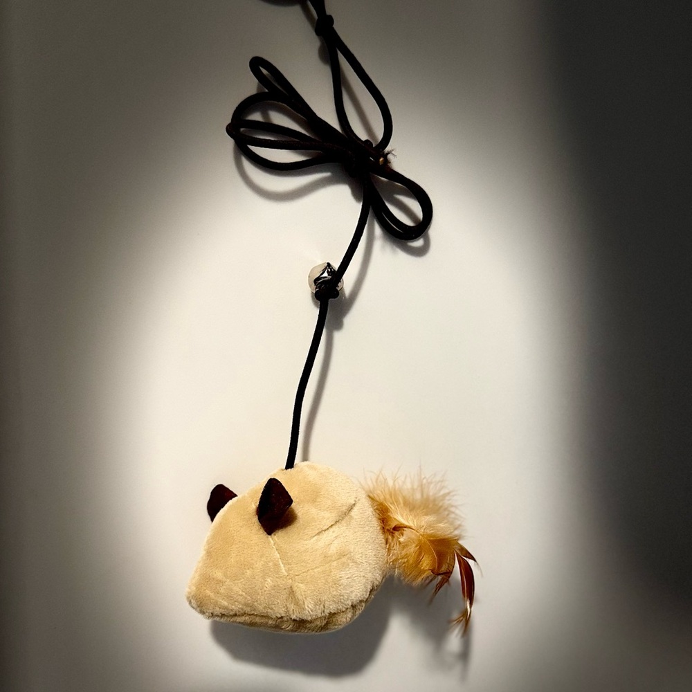 Colorful Cat Toy Set with Feathers - Picture 3 of 3